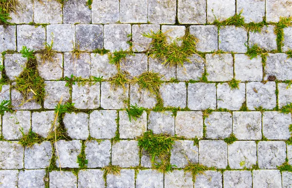 Sten väg med grönt gräs i sprickor — Stockfoto