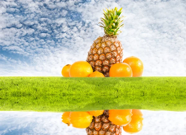 Pineapple and oranges — Stock Photo, Image