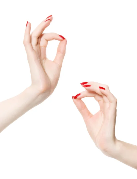 Twee elegante vrouw handen — Stockfoto