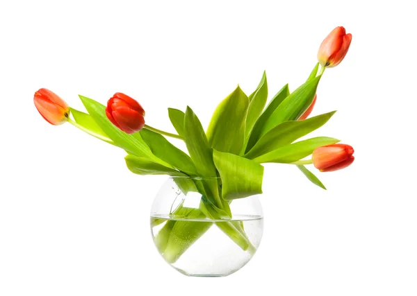 Tulipanes rojos en un jarrón — Foto de Stock