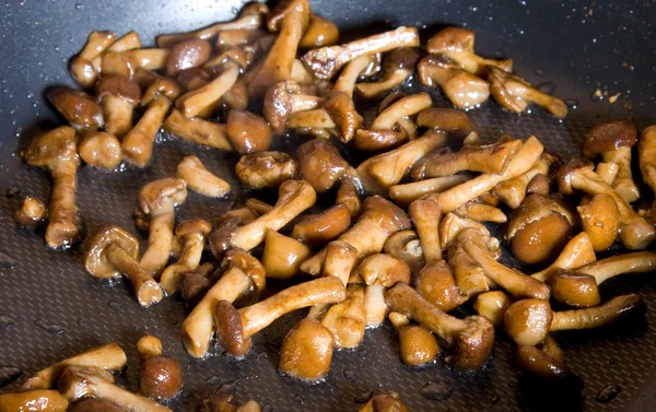 Stekta svampar i en kastrull — Stockfoto
