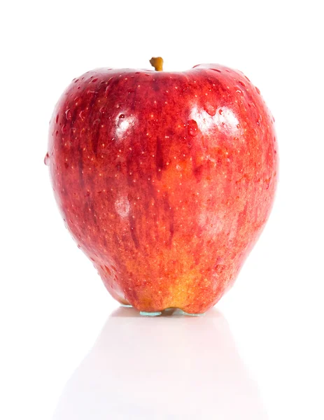 Czerwony dojrzałe jabłko z kropli wody — Zdjęcie stockowe