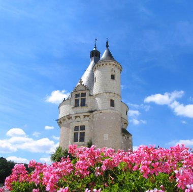 Chenonceaux castle in France clipart