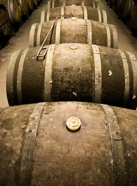 Barricas de vino en bodega — Foto de Stock