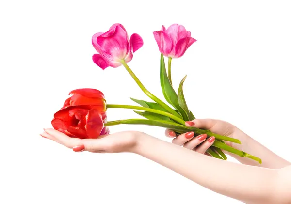 Žena ruce s květinami — Stock fotografie