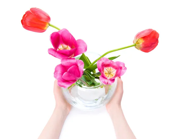 Vrouw handen met vaas met bloemen — Stockfoto