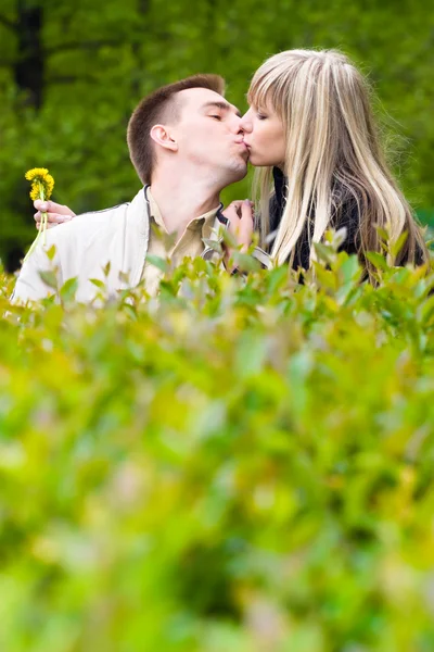 Pareja joven besándose en arbustos verdes —  Fotos de Stock