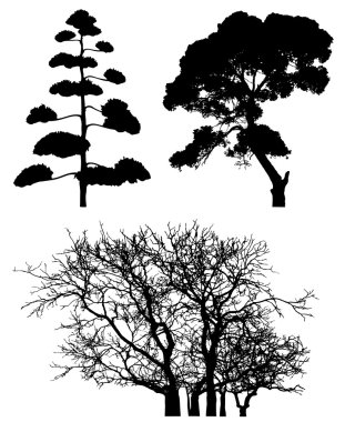 Three tree silhouettes on white clipart