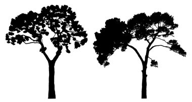 Two tree silhouettes on white clipart