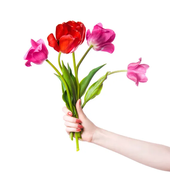 Frau Hand mit Blumen — Stockfoto