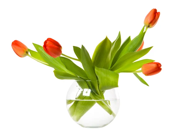 Квіти в скляній мисці — стокове фото