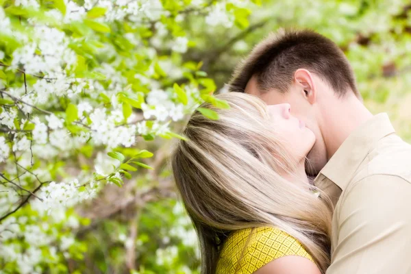 Casal em flores de cerejeira — Fotografia de Stock