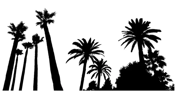 Zwei Szenen mit Palmensilhouetten — Stockfoto