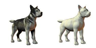 Malamute dog 3d model clipart