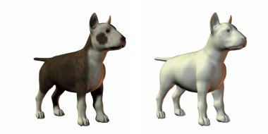 Bull terrior dog 3d model clipart