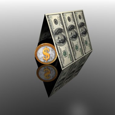 100 ABD Doları çatı ev