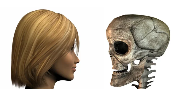 Giovane ragazza vs vecchio cranio isolato su un wh — Foto Stock
