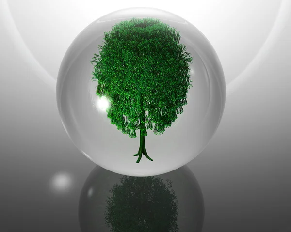 在玻璃圆球上 gr 的绿色生态树 — 图库照片