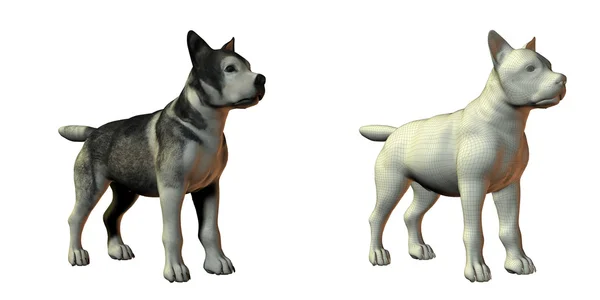 stock image Malamute dog 3d model