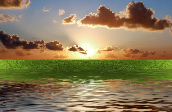 Herbe verte avec coucher de soleil — Photo