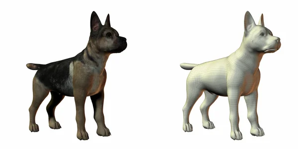 Stock image Shepherd dog 3d model