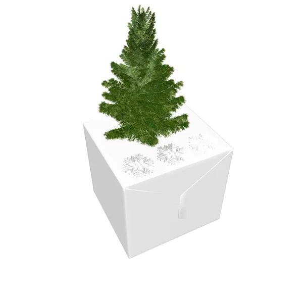 Bare Christmas tree ready to decorate wi — Stock Photo, Image