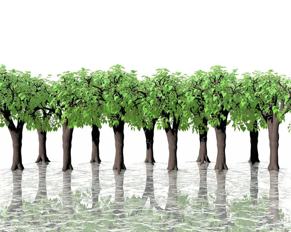 Green trees in water with reflection on — Stock Photo, Image