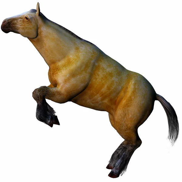 3D belo cavalo — Fotografia de Stock