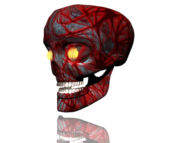3 d の大きな現実的な頭蓋骨 — ストック写真