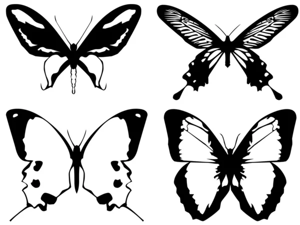 白で隔離される明るい金属蝶 — ストック写真