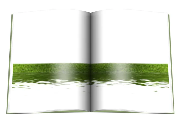 Livro com bola de futebol na grama verde — Fotografia de Stock