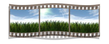 Film with 3 images of green grass clipart