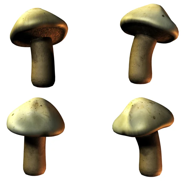 Mushrooms in 3D — Stock Photo, Image