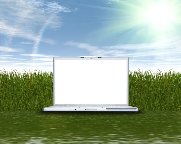 Yeşil çimenlerin üzerinde dizüstü bilgisayar — Stok fotoğraf