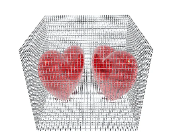 3d hearts in birdcage isolated on white — Stock Photo, Image