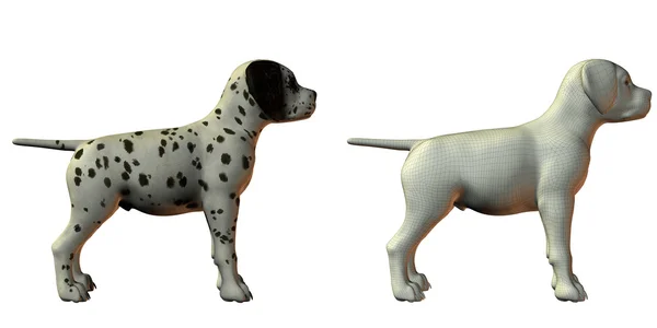 ダルメシアン犬の 3 d モデル — ストック写真