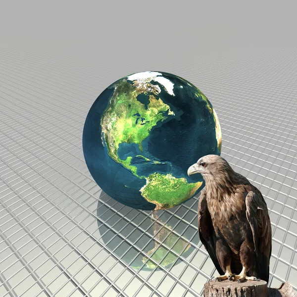 3D globe with eagle — Stock Photo, Image