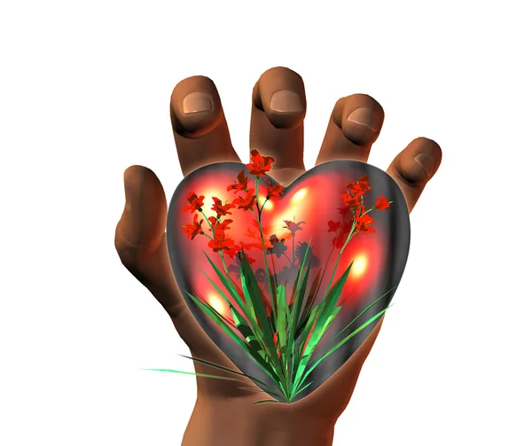 3D сердце на 3D руки изолированы на белом — стоковое фото