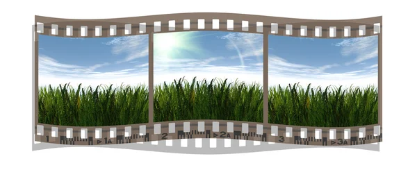 Film with 3 images of green grass — Stock Photo, Image