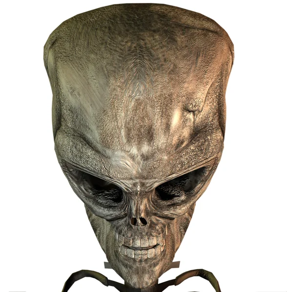 3 d の頭蓋骨 — ストック写真