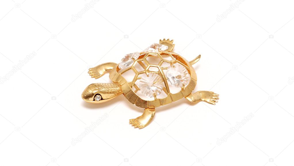 Diamond tortoise