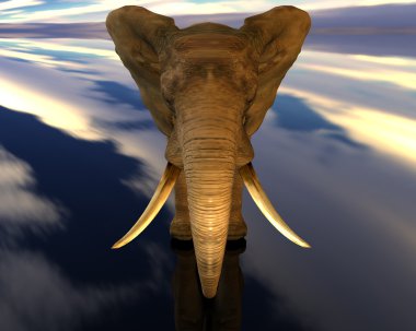 gökyüzü fil