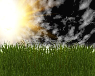 3D green grass and blue sky