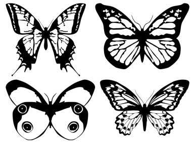 Bright metal butterfly isolated on white clipart