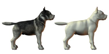 Malamute dog 3d model clipart