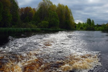 güzel soyut orman Nehri