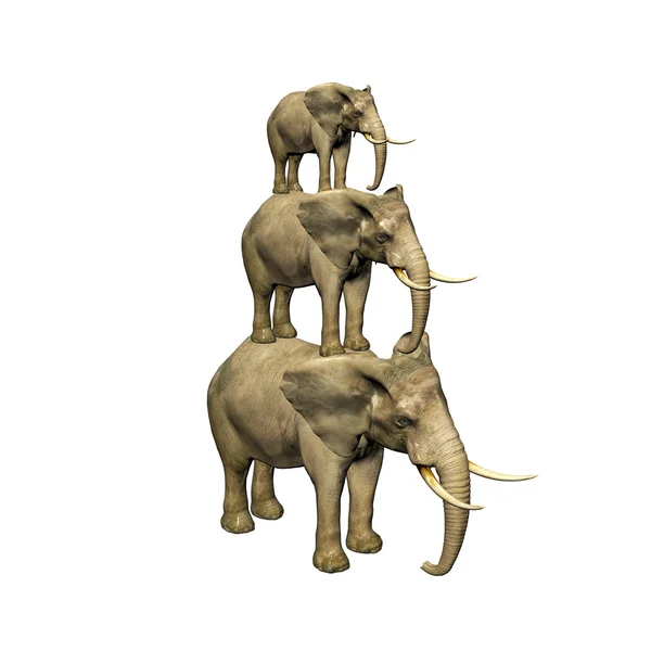3D ελέφαντα που απομονώνονται σε λευκό — Φωτογραφία Αρχείου