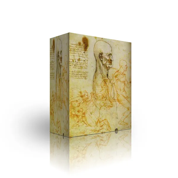 Modello scatola Leonardo da vinci — Foto Stock