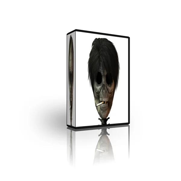 Modello di scatola DVD CD vuota — Foto Stock