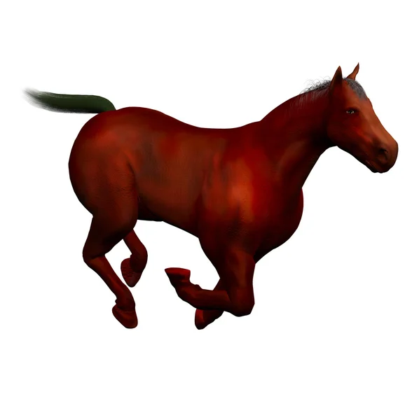 3D красивая лошадь — стоковое фото